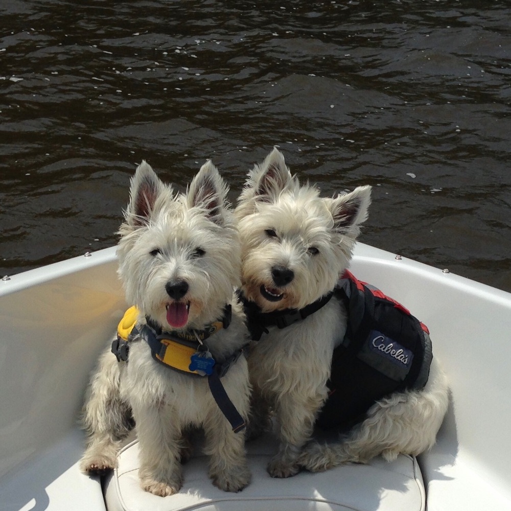 Meet your Posher, Rebecca